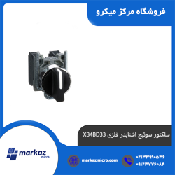 سلکتور سوئیچ اشنایدر فلزی XB4BD33