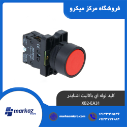 کلید لوله اي باکالیت اشنایدر XB2-EA31